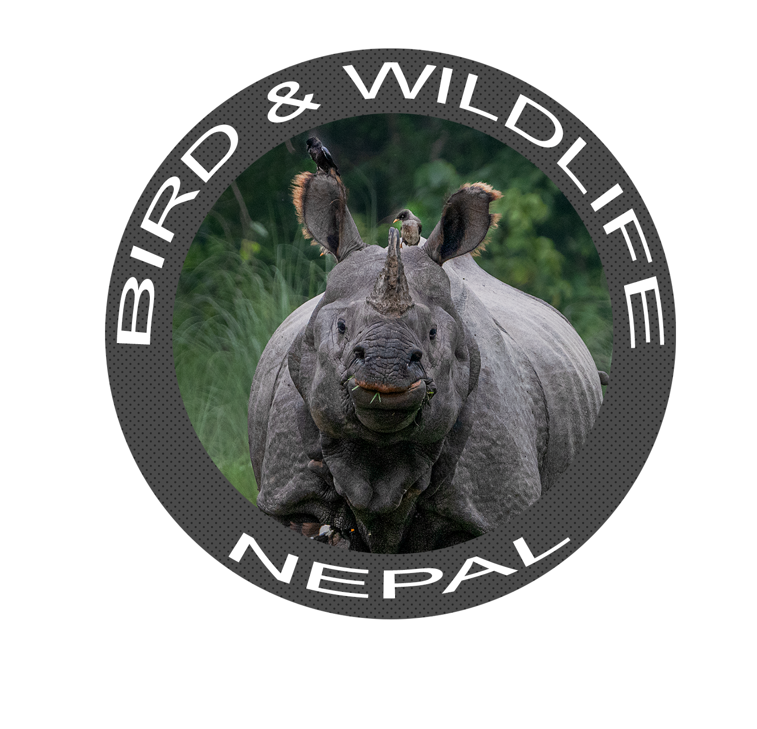 Nepal Bird and Wildlife